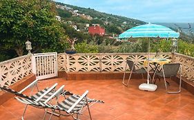 Apartment With Huge Deck Nestled In Marvelous Gardens - Nidos