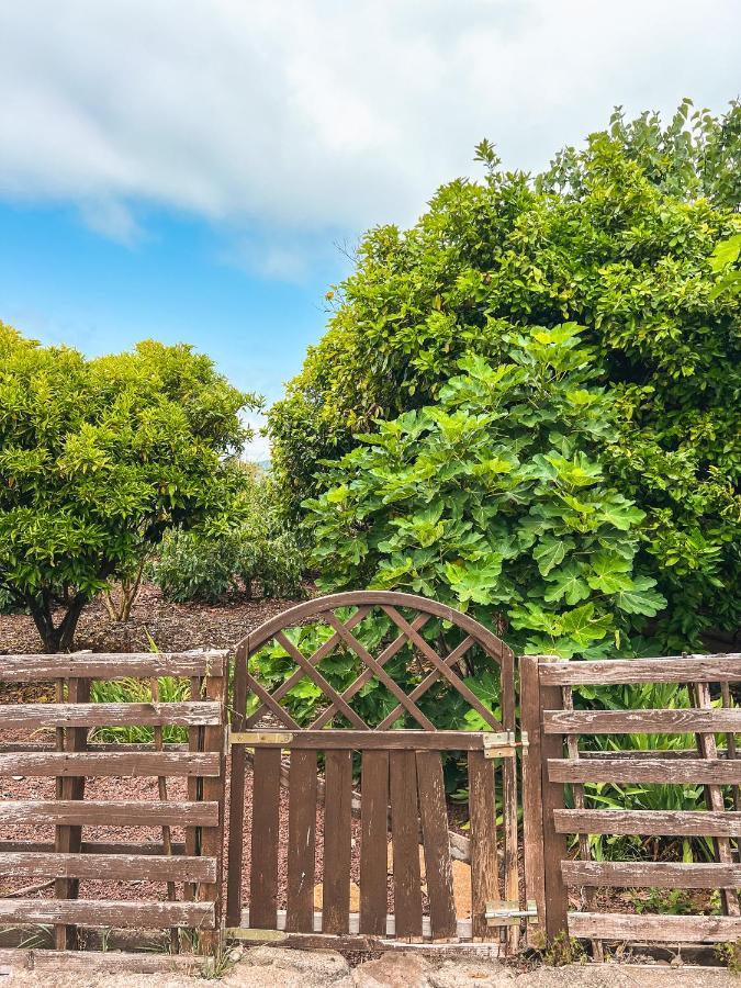 Apartment With Huge Deck Nestled In Marvelous Gardens - Nidos La Orotava Exterior foto